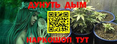 стаф Канаш