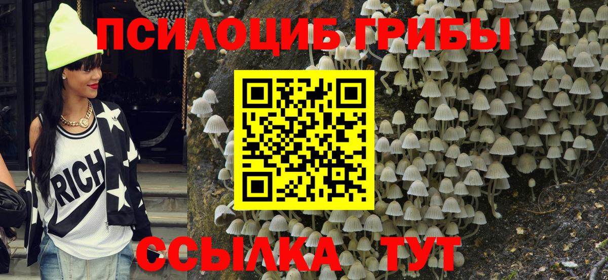 Галлюциногенные грибы Cubensis Донской