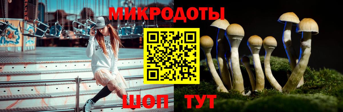 Донской  Галлюциногенные грибы прущие грибы  Вход с VPN 