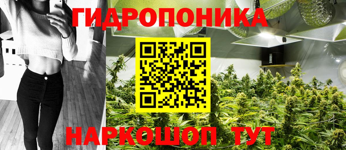Конопля семена  Вход с VPN  Донской  Шишки марихуана LSD WEED  Марихуана индика 